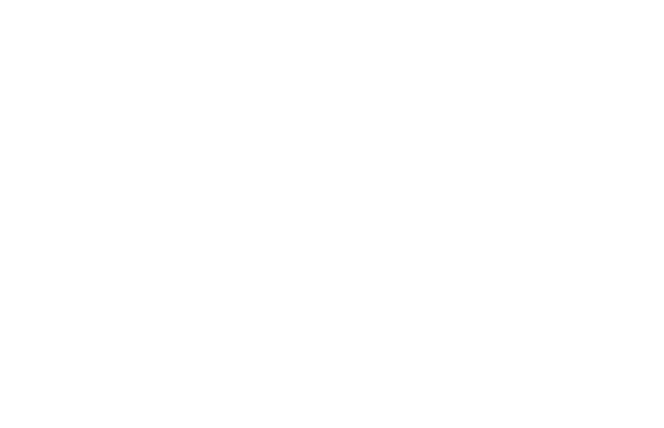 FESTIVE SOAP CO
